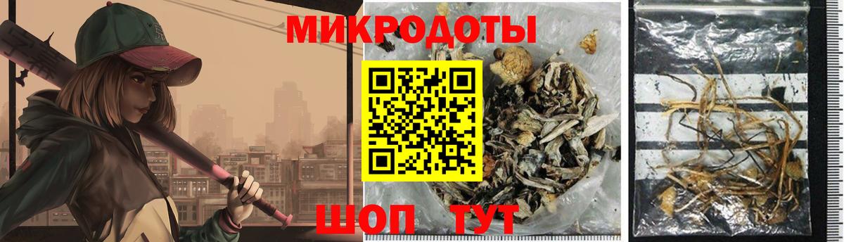 Галлюциногенные грибы Magic Shrooms  Вход с VPN  где найти   Псилоцибиновые грибы Psilocybe  Петропавловск-Камчатский 